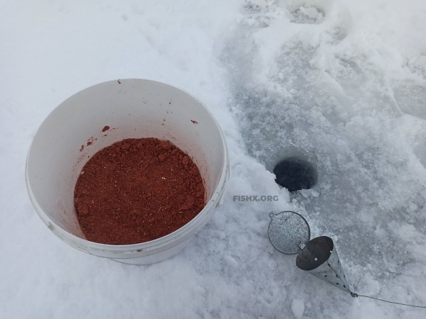 Зимняя прикормка для плотвы Зимняя прикормка для плотвы