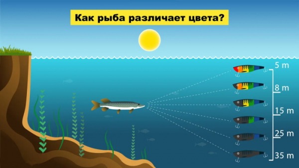 Самый уловистый цвет приманки. Как его подобрать?
Самый уловистый цвет приманки. Как его подобрать?