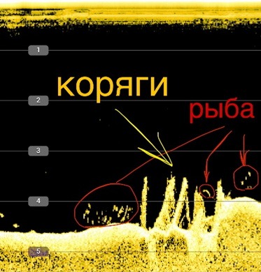 
				"Эховизор" от "Практик": как структурное сканирование помогает быстрее находить судака, щуку и окуня 			