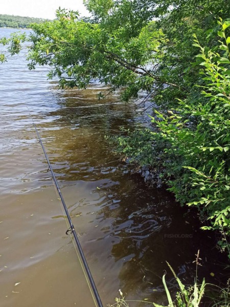 Блесна-колебалка раскачает сонного хищника