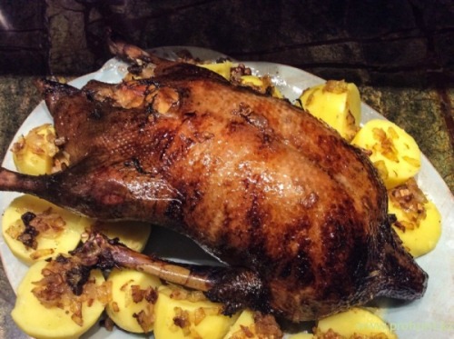 Как приготовить глухаря: вкусные рецепты для вашего застолья Как приготовить глухаря: вкусные рецепты для вашего застолья