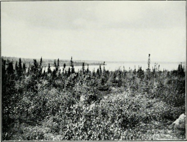 rasskazy-ohotnika-juzhno-ussurijskogo-kraja-chast-tretja-c2a07d3