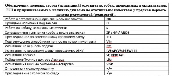 Рекомендации для проведения бонитировки норных собак