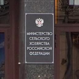 1bc9e24edfa7eef75ccef9eb9f4c86d2
