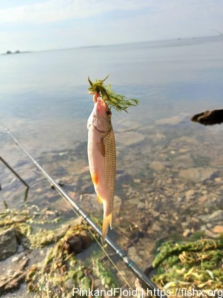 Утро на судоходной реке Утро на судоходной реке