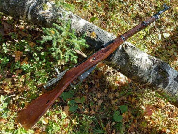 autopsija-legendy-karabin-ko-44-mezhdu-molotom-i-nakovalnej-istorii-057b542.jpg