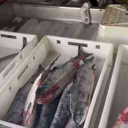 157a4524c4ba9ef4d2900ed6da508f0d.jpg
